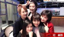 在线观看欢乐颂电视剧,都市女性的奋斗与成长