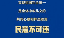 台湾爆料标题大全新闻,一场舆论风暴的幕后真相