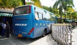 28路公交车爆料视频,乘客互动引网友热议