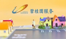 碧桂园物业爆料最新消息,揭秘项目动态与未来规划