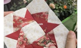 蘑菇黑料爆料视频播放,揭秘网络红人背后的惊人真相