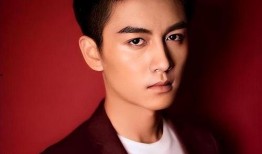 爆料娱乐圈陈晓,揭秘明星背后的故事