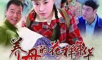 电视剧养母在线观看,温情演绎母爱如山