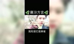襄汾头条网友爆料视频,视频揭露惊人真相！