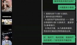 爆料讽刺短视频素材下载,讽刺短视频素材背后的真相与笑料