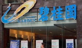碧桂园物业爆料最新消息,揭秘项目动态与未来规划