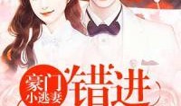 豪门吃瓜夫妇小说免费阅读,吃瓜夫妇的甜蜜瓜田