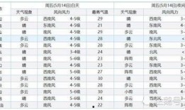 辽宁辣妈爆料视频大全集,辽宁辣妈爆料视频大全集精彩回顾